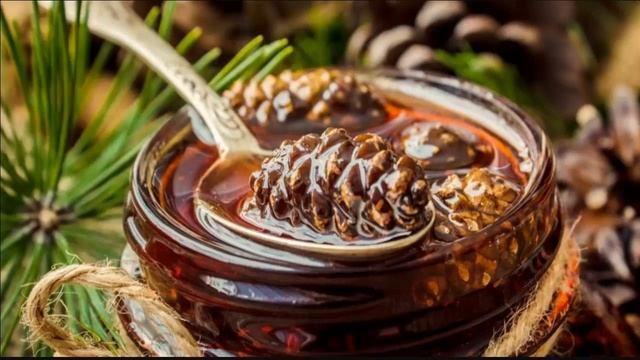 Сосновые шишки. Лечение и Противопоказания