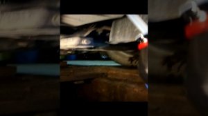 Джили эмгранд замена масла в кпп
