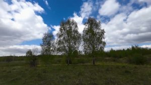 Охота на утку с подхода.