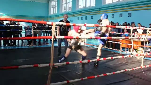 соревнования Павлоград по кикбоксингу 21022015