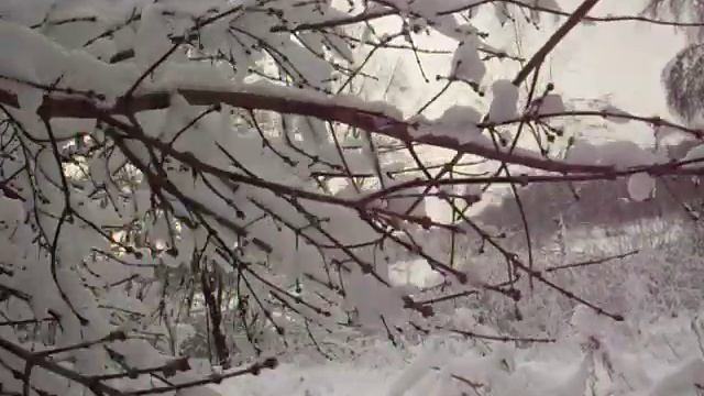 Избушка на курьих ножках. Видео прогулка Валентины. смотреть онлайн