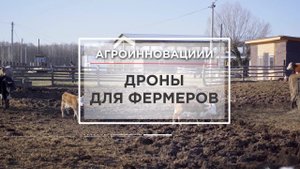 Дроны в сельском хозяйстве