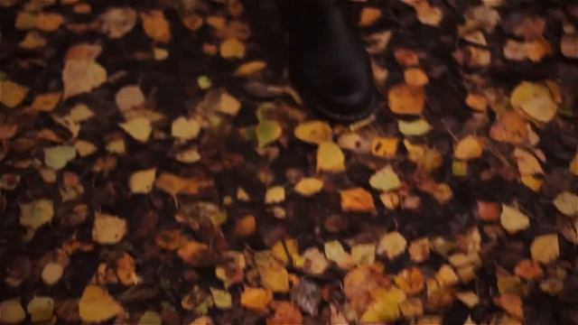 Autumn Videoportrait / Осенняя фотосессия смотреть онлайн