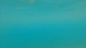 КРЫМ 2023 / Было КРУТО. Открыл СЕЗОН для себя / ОТДЫХ на МОРЕ /Ялта на ДЗЕН