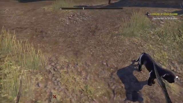 The Elder Scrolls Online: Tamriel Unlimited_20180921191519