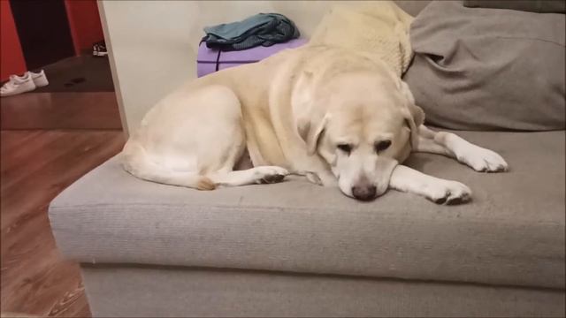 Реабилитация смотреть онлайн