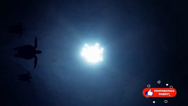 Что нас ждет в 2021 году? Прогнозы и предсказания Ванги, Нострадамуса и Павла Глобы в год Быка смотреть онлайн