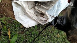 мотоблок дон R900C.mp4