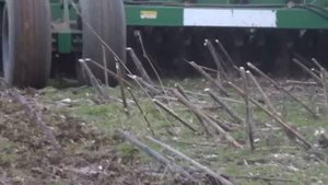Посев озимой пшеницы(прямой посев) по подсолнечнику