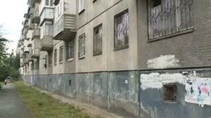 Опасные голуби в Челябинске