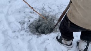 Зимняя подлёдная Рыбалка сетями на озере