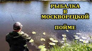 Рыбалка в Москворецкой пойме.