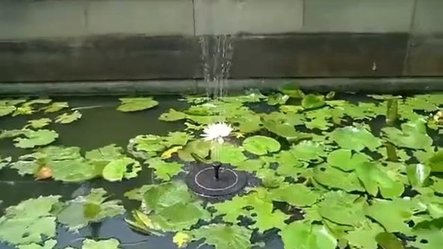 Фонтан плавающий на солнечной батарее / Фонтан садовый декоративный