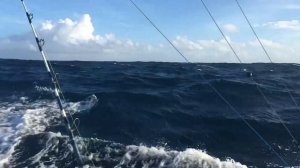 Рыбалка на барракуду в Карибском море