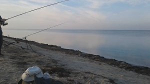 РЫБАЛКА С "ОДНОГРУППНИКАМИ" 03.10.2020г. ЛОВЛЯ ПЕЛЕНГАСА НА АЗОВСКОМ МОРЕ