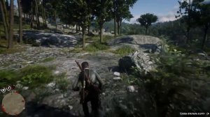 RDR 2 Элизианский пруд карта сокровища