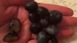 ?? Голубика. Польза или вред? Свойства .