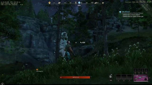 Wanderer Reborn Quest New World смотреть онлайн