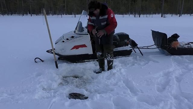 ЛОСЬ ПРИШЁЛ НА РАЗБОРКИ, НО ЕЛЕ УНЕС НОГИ! НАШЕЛ ОЗЕРО С КУЧЕЙ РЫБЫ! ЛУЧШАЯ РЫБАЛКА СЕЗОНА! смотреть онлайн