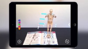 3D книга Анатомия в дополненной реальности DEVAR