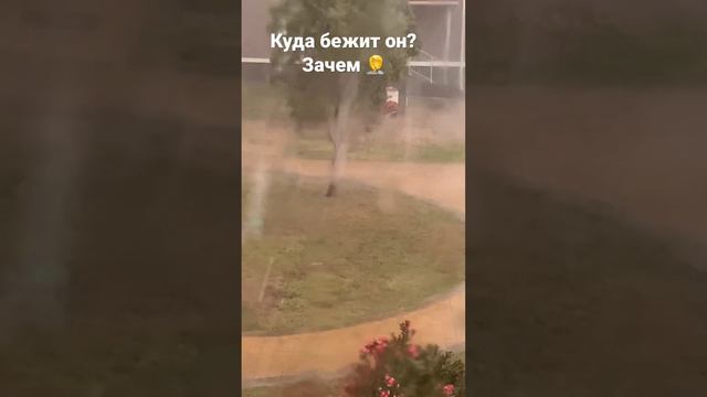 Куда бежит малой 🤦 #where #rain #travel смотреть онлайн