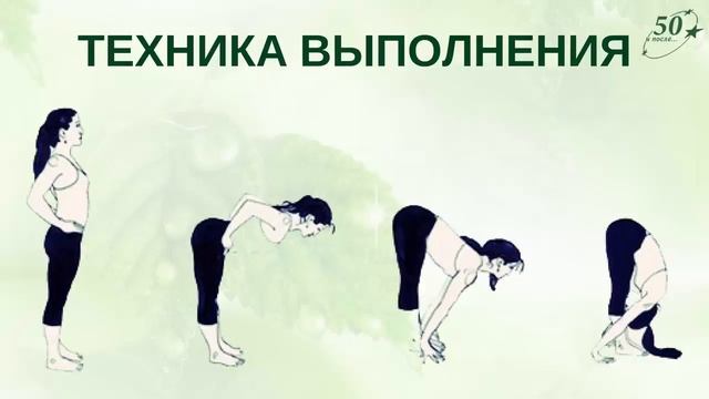 НАКЛОНЫ ТУЛОВИЩА ВПЕРЕД смотреть онлайн