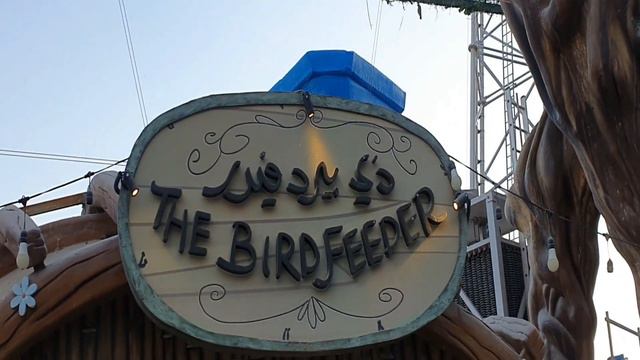 Angry Birds World Qatar vlog #practicalpriya смотреть онлайн