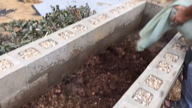 07.08.19. Наполняем тёплую грядку. смотреть онлайн