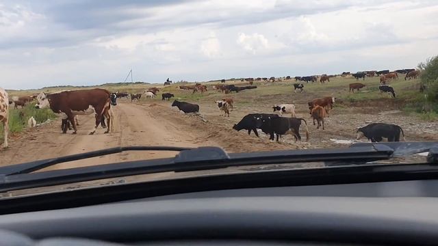 Поездка в Титовку на ремонт ТНВД МТЗ 80 смотреть онлайн
