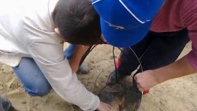 Офигеть рыбалка.mp4 смотреть онлайн