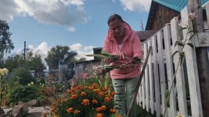 СХОДИЛИ НА БАЗАР/ПОРАБОТАЛА В ОГОРОДЕ/ПОЕЛИ НА СВЕЖЕМ ВОЗДУХЕ.