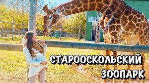 СТАРООСКОЛЬСКИЙ ЗООПАРК И НАБЕРЕЖНАЯ СТАРОГО ОСКОЛА