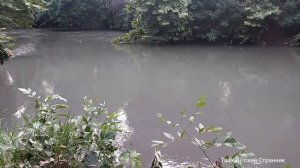 Рыбалка В Ташкенте)