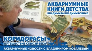 Коридорасы - путешествие в прошлое! Аквариумные новости с Владимиром Ковалевым (архив).