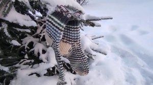 СП "Носочная коробочка 20/21" Итоги. #сп_носочная_коробочка_20_21 Итоги#