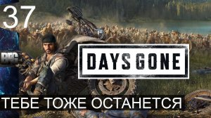 Days gone ➤ Прохождение — Часть 37: Тебе тоже останется (без комментариев)