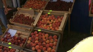 НОВОФЕДОРОВКА КРЫМ ЦЕНЫ НА РЫНКЕ / ОТДЫХ В КРЫМУ