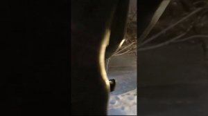 Девочка на Гроте (Танцевальное упражнение, Огюст Роден)