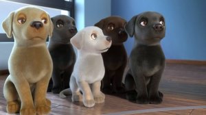 Pip, a Southeastern Guide Dogs Short Film