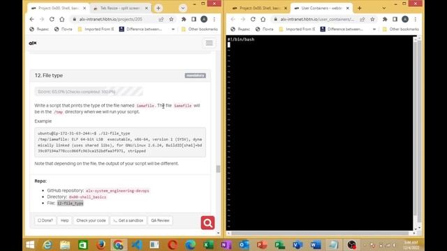 0x00.  C - HELLO WORLD. All Task Solved & Explained