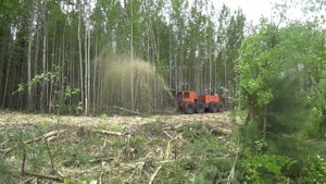 200 сильный мульчер Тром 20 уэс