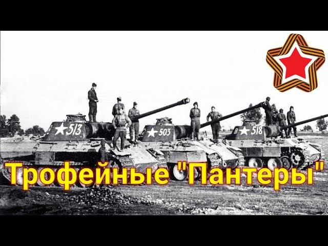 Немцы выскочили из танков и убежали, нам остались трофеи - одиннадцать "Пантер"! смотреть онлайн