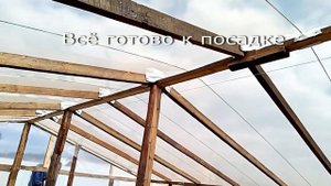 Теплица своими руками из дерева