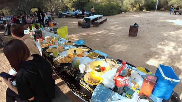 Музей в котором живут люди - SIURANA / День рождения Дани смотреть онлайн