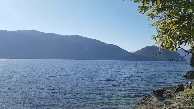 СИНЬ ТЕЛЕЦКАЯ ОЗЁРНАЯ