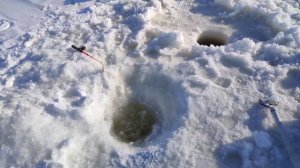 зимняя рыбалка нанайский район амур вблизи село маяк