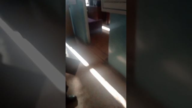 Безпридел в 8 Автобусом парке смотреть онлайн