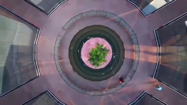 Парк «Краснодар» перешел на зимний режим работы. Ранее в парке начали готовить к зиме деревья. смотреть онлайн