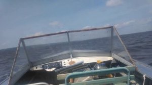 Прогресс-4 + Ветерок 12 на сильном ветру