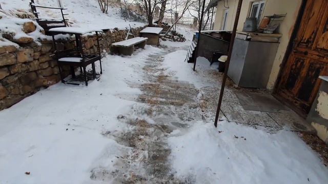 В горах погода меняется...Ночью выпал снег. Кошки на прогулке)